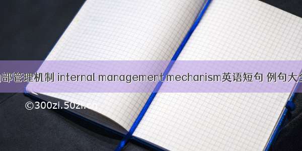 内部管理机制 internal management mechanism英语短句 例句大全