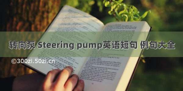 转向泵 Steering pump英语短句 例句大全