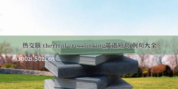 热交联 thermal crosslinking英语短句 例句大全