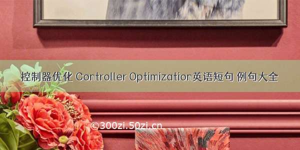 控制器优化 Controller Optimization英语短句 例句大全