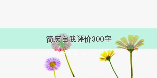 简历自我评价300字