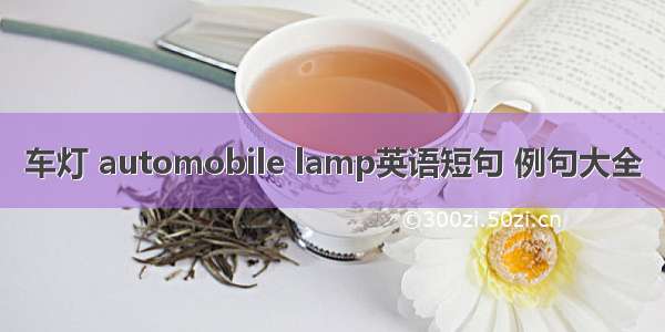 车灯 automobile lamp英语短句 例句大全