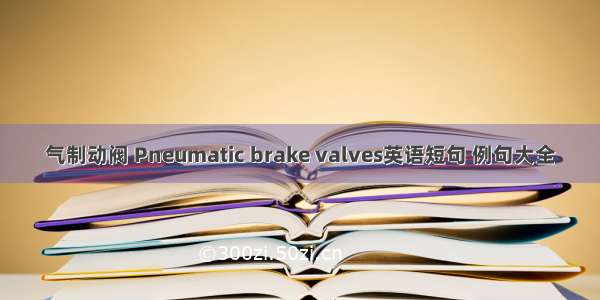气制动阀 Pneumatic brake valves英语短句 例句大全