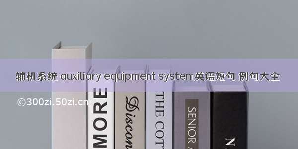 辅机系统 auxiliary equipment system英语短句 例句大全