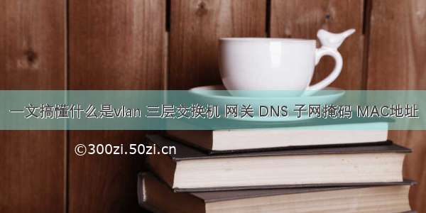 一文搞懂什么是vlan 三层交换机 网关 DNS 子网掩码 MAC地址