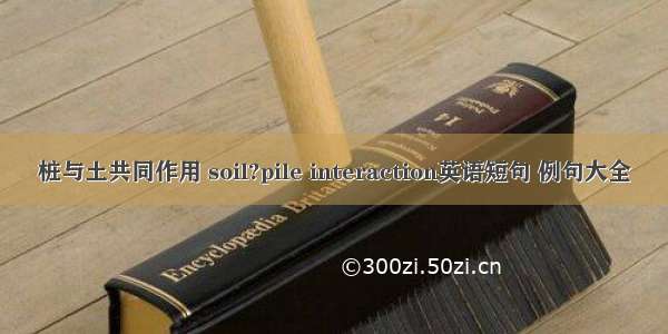 桩与土共同作用 soil?pile interaction英语短句 例句大全