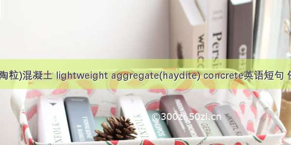 轻骨料(陶粒)混凝土 lightweight aggregate(haydite) concrete英语短句 例句大全