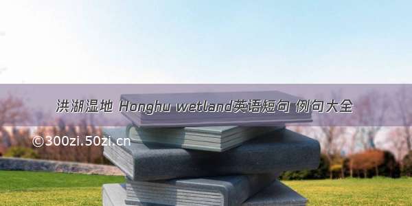 洪湖湿地 Honghu wetland英语短句 例句大全