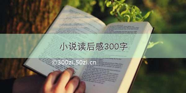 小说读后感300字