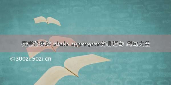 页岩轻集料 shale aggregate英语短句 例句大全