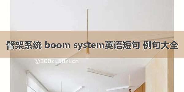 臂架系统 boom system英语短句 例句大全
