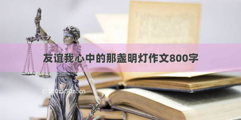 友谊我心中的那盏明灯作文800字