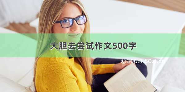 大胆去尝试作文500字