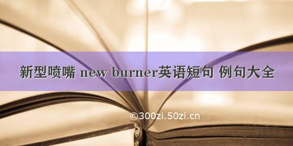 新型喷嘴 new burner英语短句 例句大全