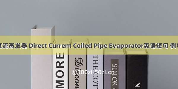 盘管直流蒸发器 Direct Current Coiled Pipe Evaporator英语短句 例句大全