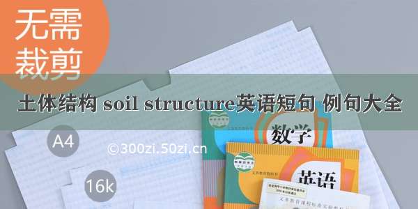 土体结构 soil structure英语短句 例句大全