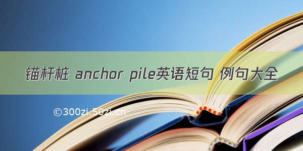 锚杆桩 anchor pile英语短句 例句大全