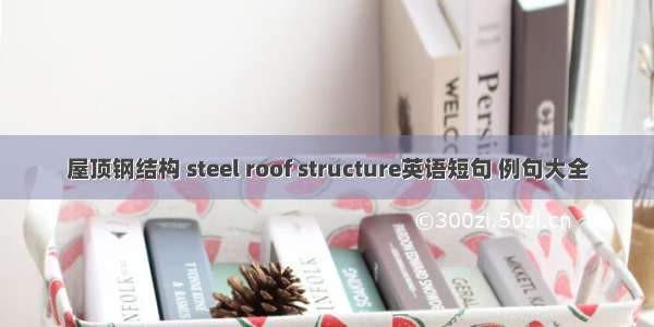 屋顶钢结构 steel roof structure英语短句 例句大全