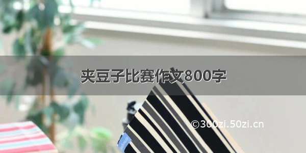 夹豆子比赛作文800字