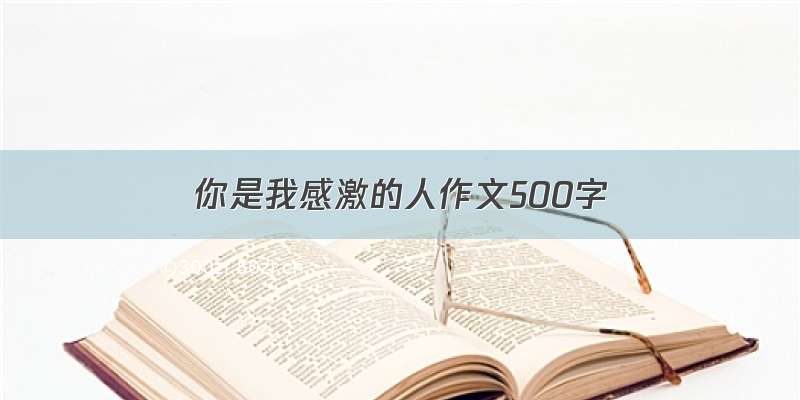 你是我感激的人作文500字