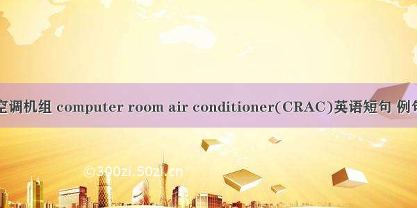 机房空调机组 computer room air conditioner(CRAC)英语短句 例句大全