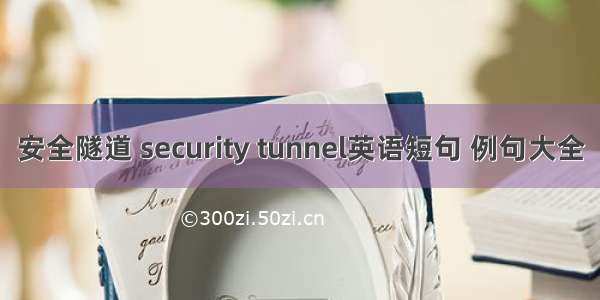 安全隧道 security tunnel英语短句 例句大全