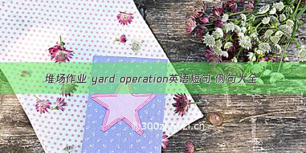 堆场作业 yard operation英语短句 例句大全