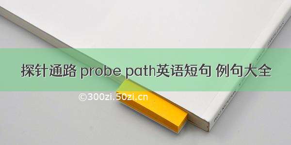 探针通路 probe path英语短句 例句大全