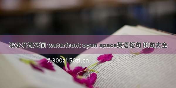 滨水开放空间 waterfront open space英语短句 例句大全