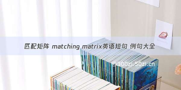 匹配矩阵 matching matrix英语短句 例句大全