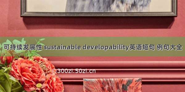 可持续发展性 sustainable developability英语短句 例句大全