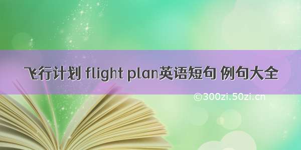 飞行计划 flight plan英语短句 例句大全