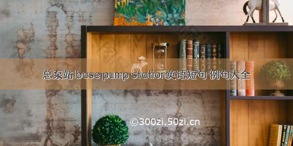 总泵站 base pump station英语短句 例句大全