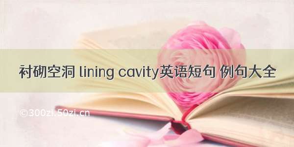 衬砌空洞 lining cavity英语短句 例句大全