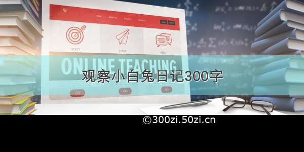 观察小白兔日记300字