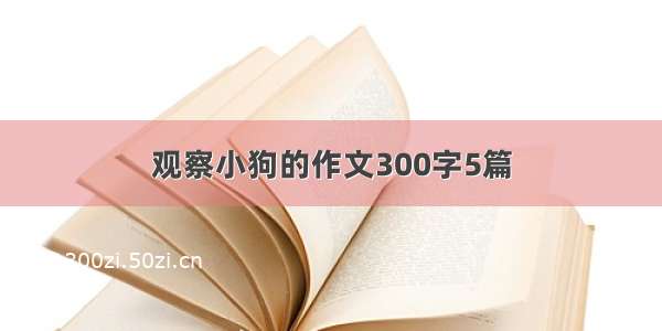 观察小狗的作文300字5篇