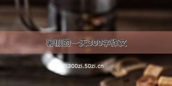 暑假的一天300字作文