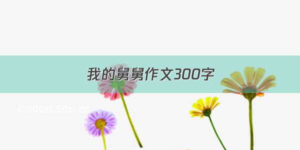 我的舅舅作文300字