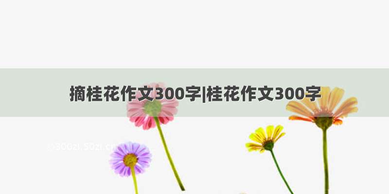 摘桂花作文300字|桂花作文300字