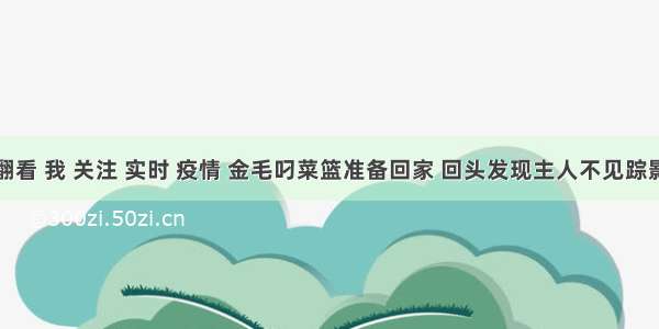 刷新 翻看 我 关注 实时 疫情 金毛叼菜篮准备回家 回头发现主人不见踪影 金毛