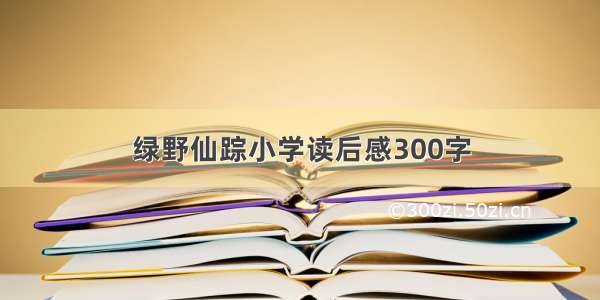 绿野仙踪小学读后感300字