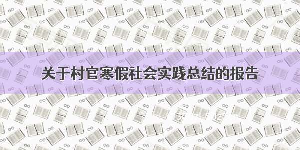 关于村官寒假社会实践总结的报告