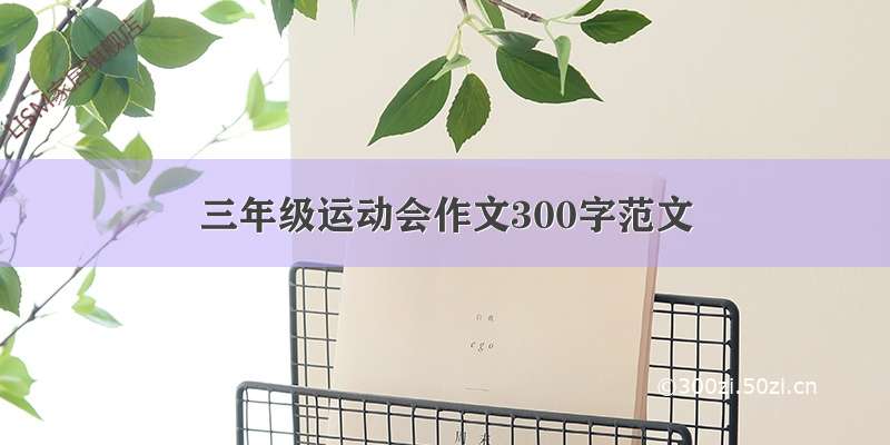 三年级运动会作文300字范文