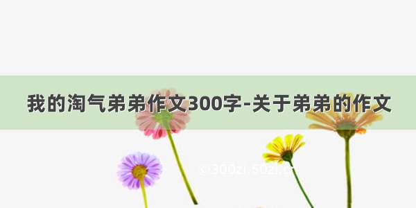 我的淘气弟弟作文300字-关于弟弟的作文