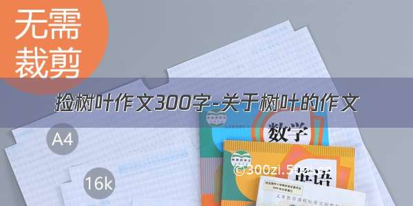 捡树叶作文300字-关于树叶的作文