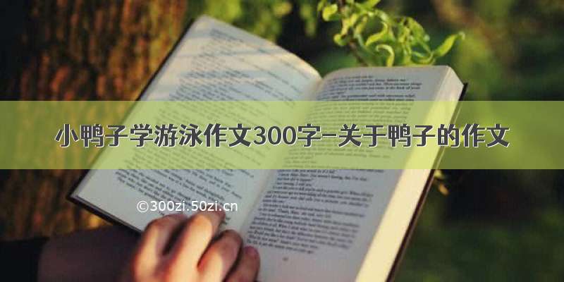 小鸭子学游泳作文300字-关于鸭子的作文