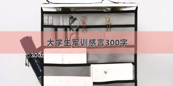 大学生军训感言300字