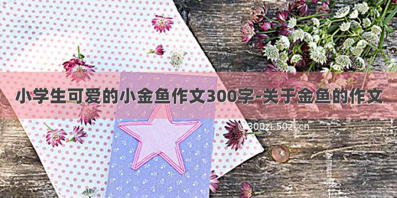 小学生可爱的小金鱼作文300字-关于金鱼的作文