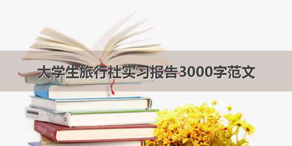 大学生旅行社实习报告3000字范文