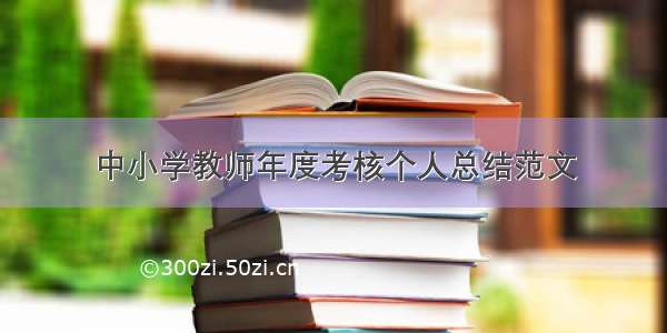 中小学教师年度考核个人总结范文